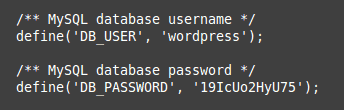46 new password set wp config