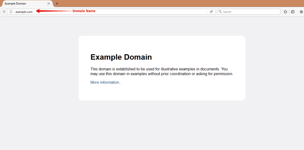 Domain-Name-Example