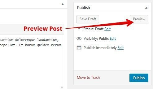 Step-5-Preview-publish-post-1