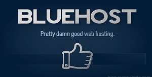 bluehost small business web hosting