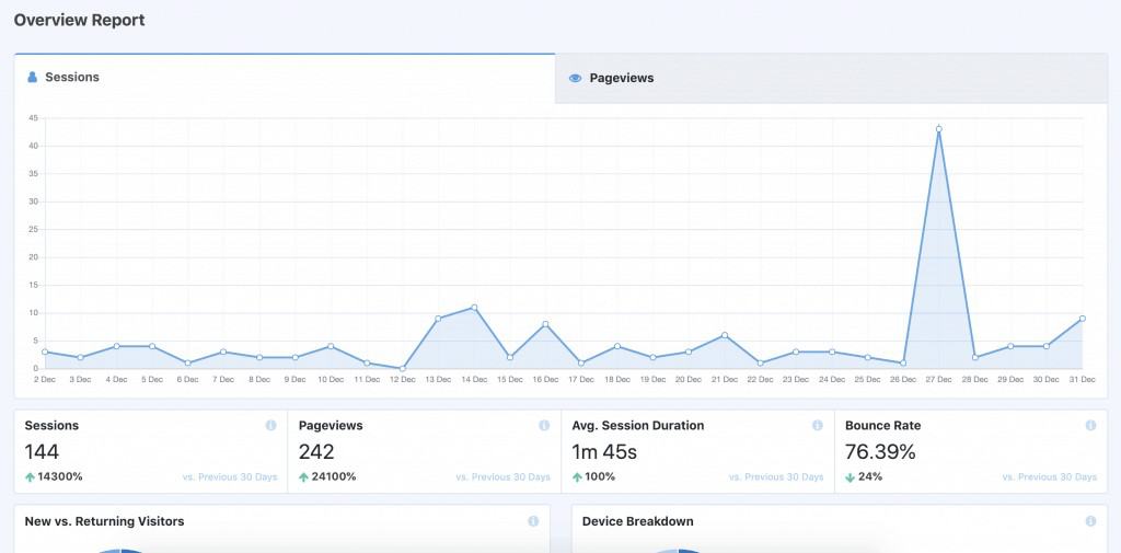 monsterinsights lite report