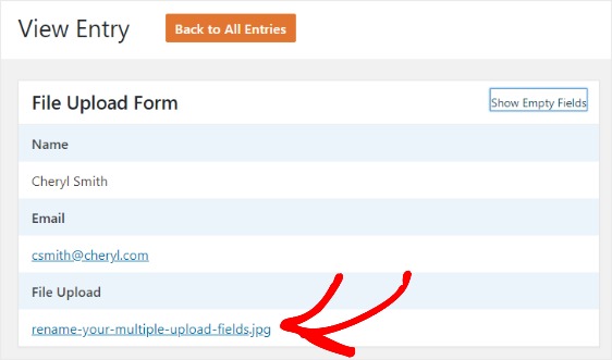 view-file-upload-entry-in-wpforms