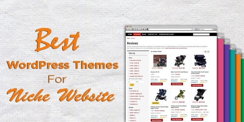 niche-theme-for-wordpress-website